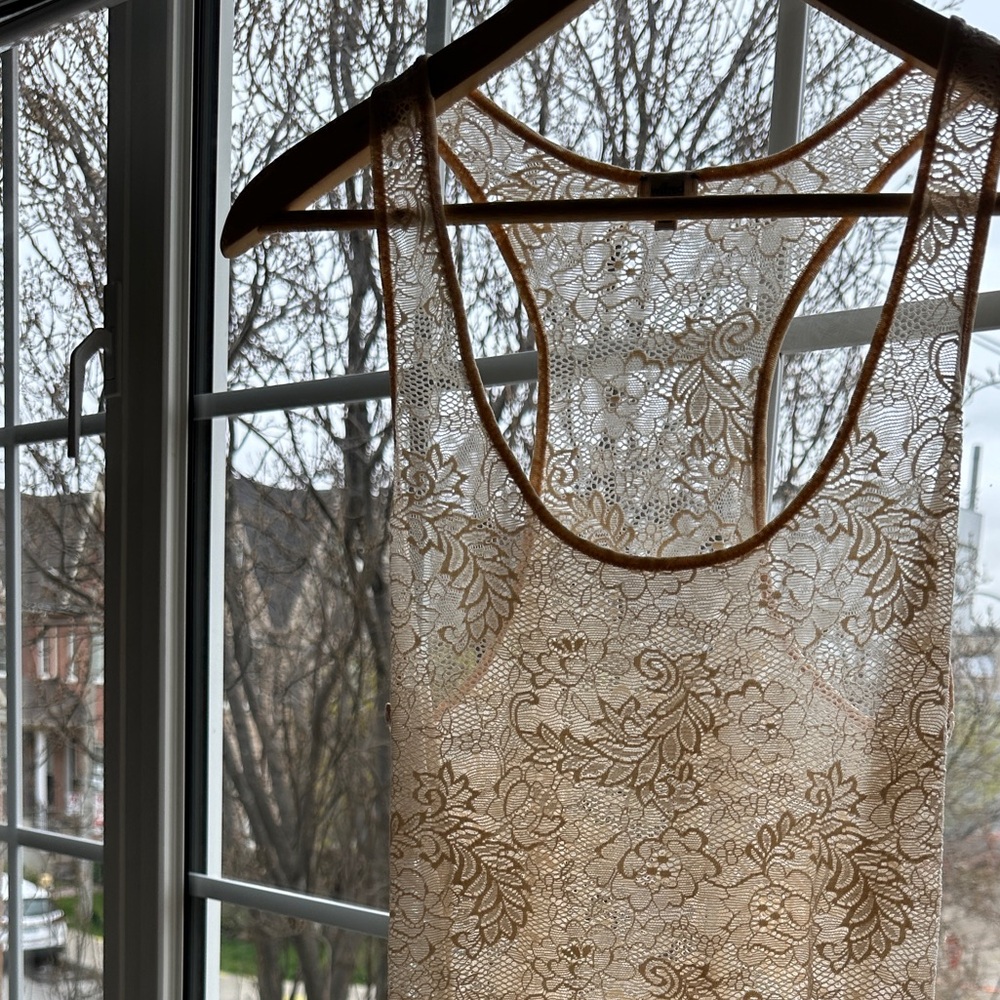 Wilfred Aritzia pink lace Madeline racerback tank dress
